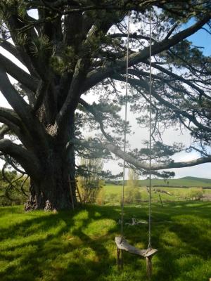 Das ist der Partytree. Echt grosses Baeumchen Das ist der Partytree. Echt grosses Baeumchen